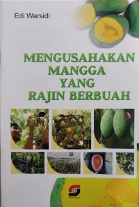 Image of MENGUSAHAKAN MANGGA YANG RAJIN BERBUAH